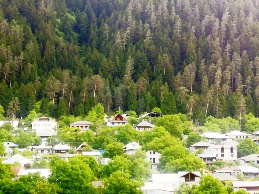 Guest House Ilia 博尔若米 外观 照片