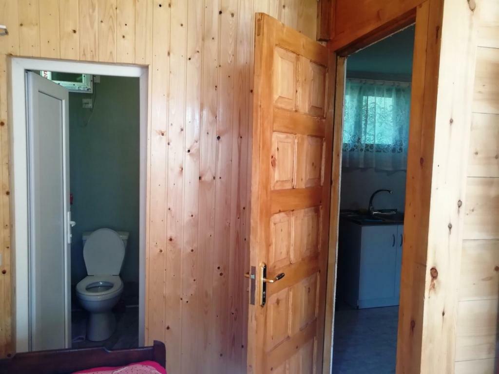 Guest House Ilia 博尔若米 外观 照片