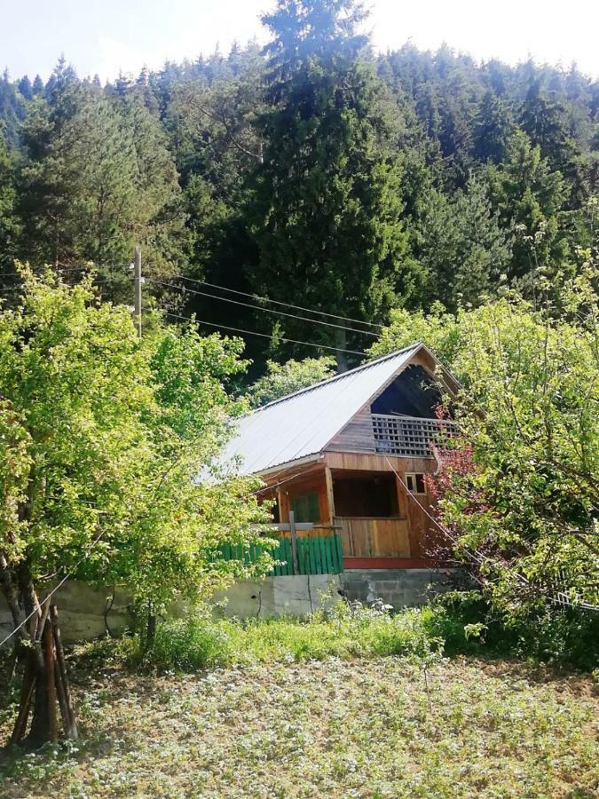 Guest House Ilia 博尔若米 外观 照片