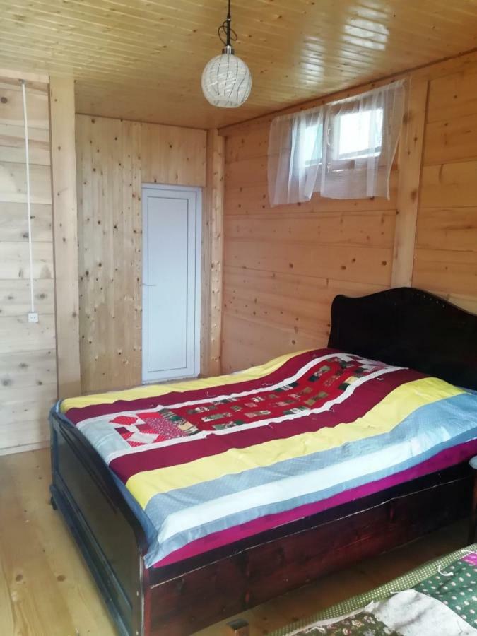 Guest House Ilia 博尔若米 外观 照片